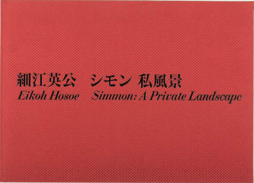 Simmon: A Private Landscape