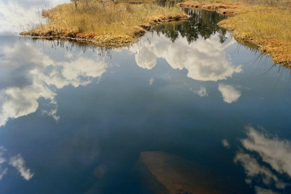 From Back Home & Sketch of Paris